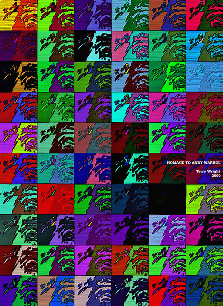 Homage to Andy Warhol