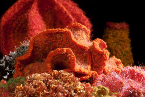 Snorkeling in Wool