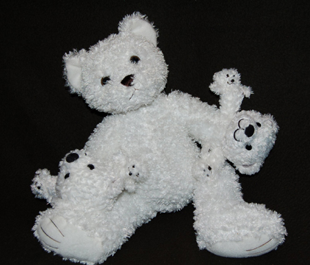 Mandelbrot: The Fractal Bear