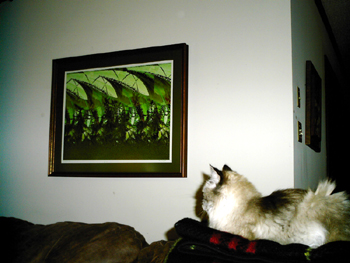 On Making Prints