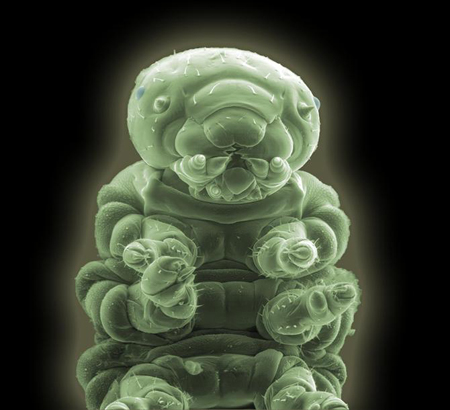 More Microscopy